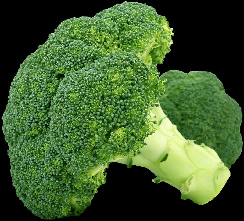 Vegetable Patch
